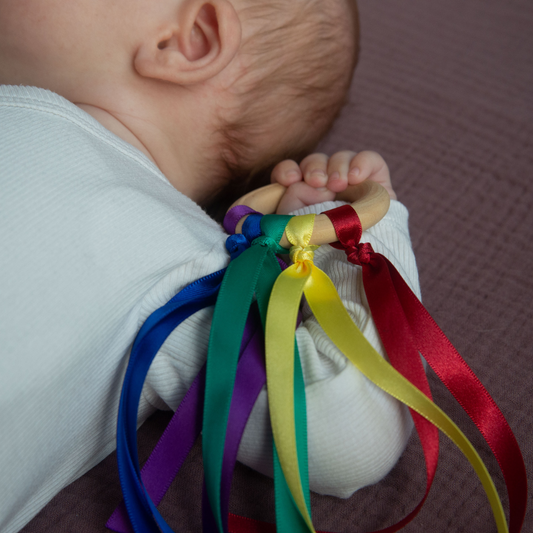 Baby handvlieger regenboog